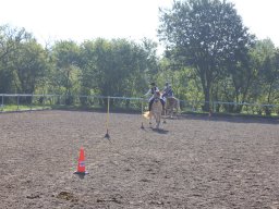 img_0241_web